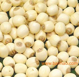 廣西芡實(shí) 優(yōu)質(zhì)湖產(chǎn)品的全國(guó)供應(yīng)商