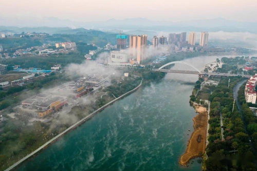 靖西全方位對外開放成效顯著 外貿(mào)進(jìn)出口同比增長21%